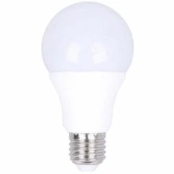 EUROPALAMP Ampoule LED E27 20W 6000K Blanc Froid Haute Luminosité - Blanc Froid 6000K