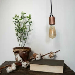 XANLITE - Ampoule LED Déco Edison Vintage Au Verre Ambré, Culot E27, 7W Cons. (50W Eq.), 638 Lumens, Lumière Blanc Chaud - RFDE800STA -Pas Cher Ampoule LED Boutique 18356011 4