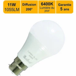 LUTECE-ARC Ampoule LED B22 11W 1055Lm 6400K - Garantie 5 Ans
