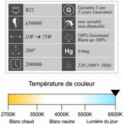 LUTECE-ARC Ampoule LED B22 11W 1055Lm 6400K - Garantie 5 Ans -Pas Cher Ampoule LED Boutique 19322823 3