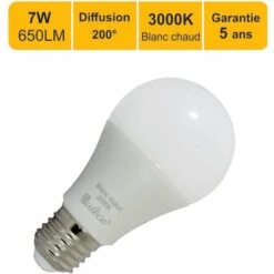 LUTECE-ARC Ampoule LED E27 7W 650Lm 3000K - Garantie 5 Ans