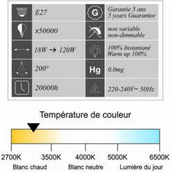 LUTECE-ARC Ampoule LED E27 Globe G125 18W 1700Lm 3000K -Pas Cher Ampoule LED Boutique 19322859 3