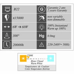 LUTECE-ARC Lot De 2 Ampoules LED Filament B22 6W 660Lm 2700K - Garantie 2 Ans -Pas Cher Ampoule LED Boutique 19322877 3