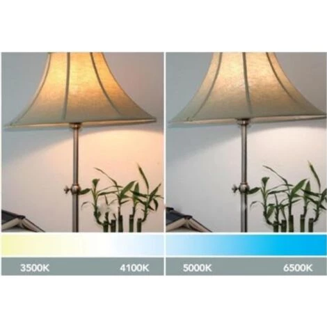 Ampoule LED GU4 / MR11 4W 12V - Blanc Froid 6000K - 8000K - SILAMP - Blanc Froid 6000K - 8000K 5 Ampoule LED GU4 / MR11 4W 12V - Blanc Froid 6000K - 8000K - SILAMP - Blanc Froid 6000K - 8000K – Image 5