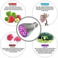 LITZEE Ampoule Horticole E27 LED Pour Plantes, 30W E27 Avec 40LED Lampe Plante à Spectre Complet, AC 85-265V, Lampe The Croissance Et Fleurs Intérieur Pour Jardin/Culture Hydroponique/Aquarium, Lot De 2 [Classe énergétique A+] -Pas Cher Ampoule LED Boutique 27181665 4