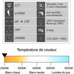 LUTECE-ARC Ampoule LED Filament E27 Vintage G125 4W 250Lm 2000K -Pas Cher Ampoule LED Boutique 29711446 3