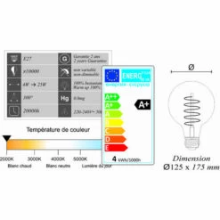 LUTECE-ARC Ampoule LED Filament E27 Vintage G125 4W 250Lm 2000K -Pas Cher Ampoule LED Boutique 29711446 4