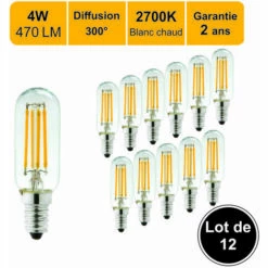 LUTECE-ARC Lot De 12 Ampoules LED Filament E14 4W) 470Lm 2700K - Garantie 2 Ans