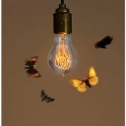 AUGIENB Ampoule Vintage Edison Retro Old Fashioned 40W A19 E27 Vis 220V-240V Classi -Pas Cher Ampoule LED Boutique 40028700 4