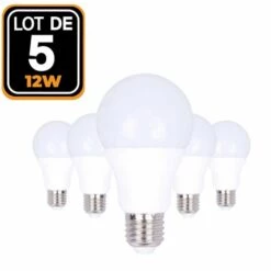 EUROPALAMP 5 Ampoules LED E27 12W Blanc Froid 6000K Haute Luminosité - Blanc Froid 6000K
