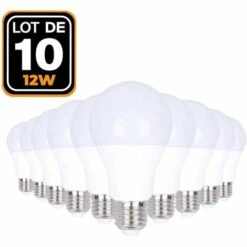 EUROPALAMP 10 Ampoules LED E27 12W 6000K Haute Luminosité
