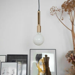 XANLITE - Ampoule à Filament LED G125, Culot E27, 11,8W Cons. (100W Eq.), Lumière Blanche Neutre - RFE1521BOCW -Pas Cher Ampoule LED Boutique 47378048 3