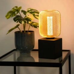 XANLITE - Ampoule Déco Cage Cylindre Cuivre, Culot E27, Hologramme, Blanc Chaud - RFDHE150CCAC -Pas Cher Ampoule LED Boutique 47378404 3