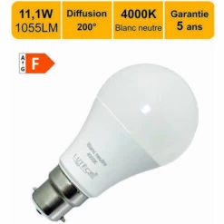 LUTECE-ARC Ampoule LED 11,1W (équiv. 75W) B22 1055lm 4000K - Garantie 5 Ans
