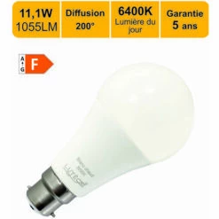 LUTECE-ARC Ampoule LED B22 15,3W (équiv. 100W) 1521Lm 3000K - Garantie 5 Ans